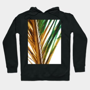 Peacock feather under the microscope Hoodie